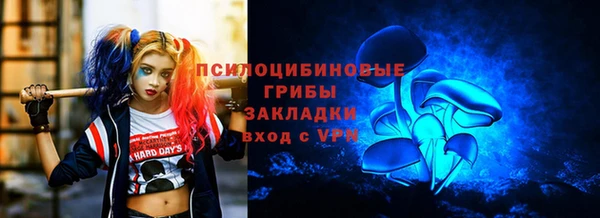 спайс Белокуриха