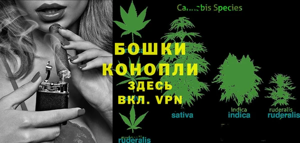 спайс Белокуриха