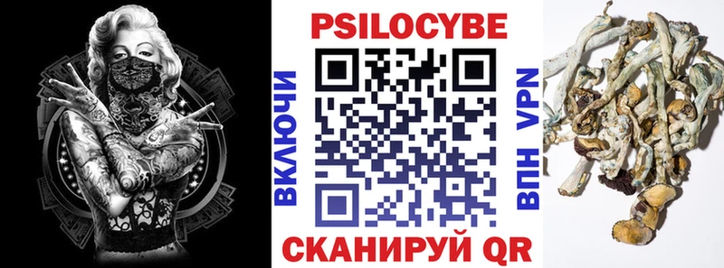 где купить   Беломорск  Галлюциногенные грибы GOLDEN TEACHER 